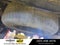 2023 Chevrolet Colorado 4WD Crew Cab Short Box Z71