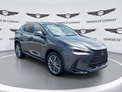 2023 Lexus NX 350 Luxury