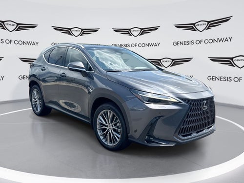 2023 Lexus NX 350 Luxury