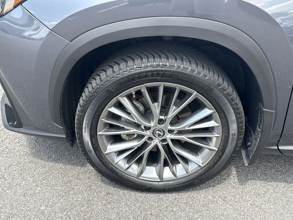 2023 Lexus NX 350 Luxury