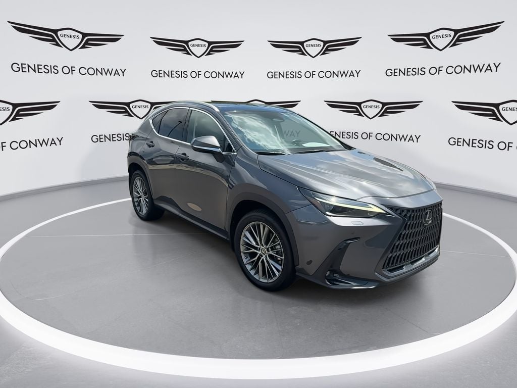 2023 Lexus NX 350 Luxury