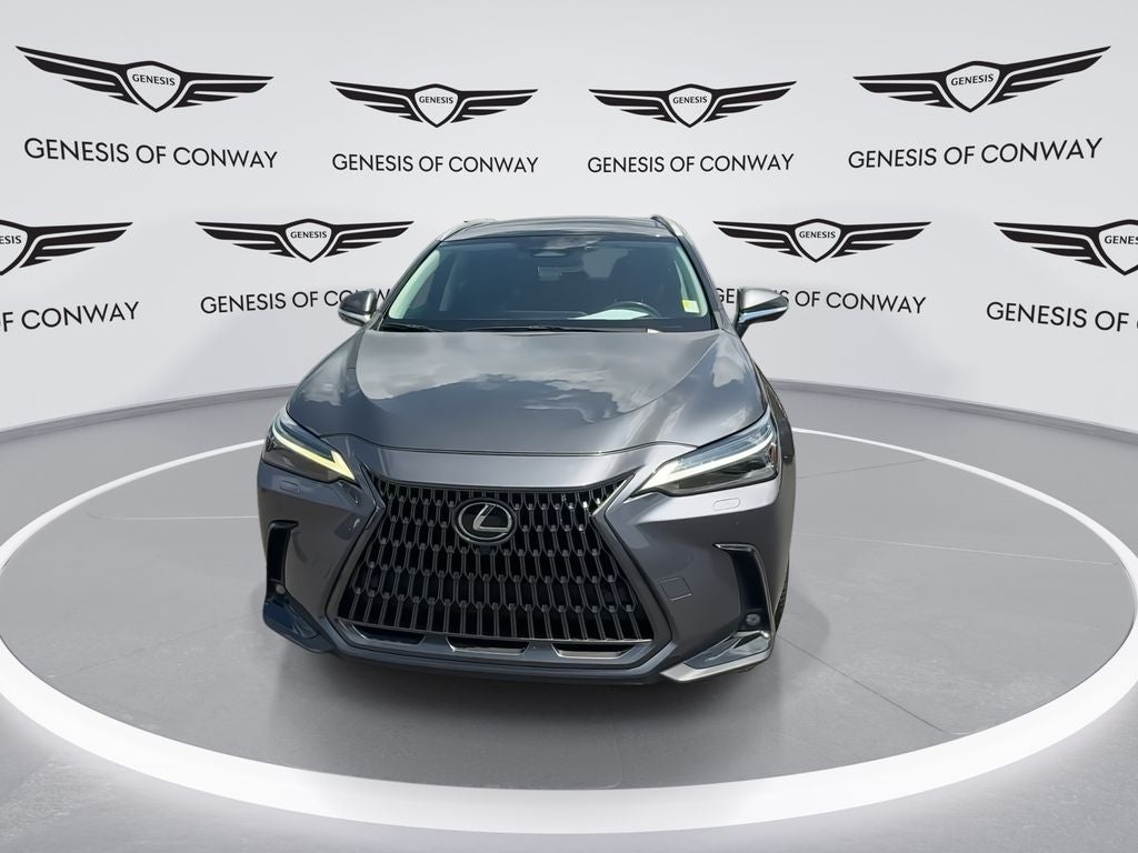 2023 Lexus NX 350 Luxury