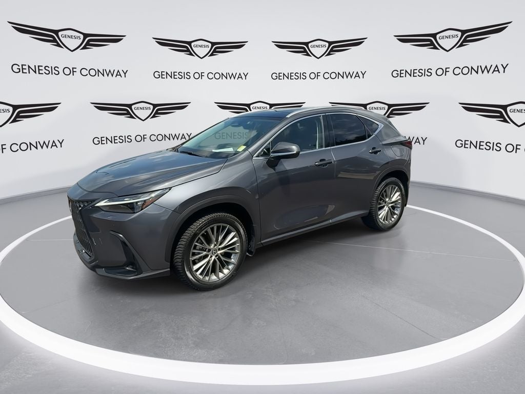 2023 Lexus NX 350 Luxury