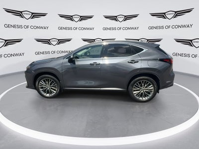 2023 Lexus NX 350 Luxury