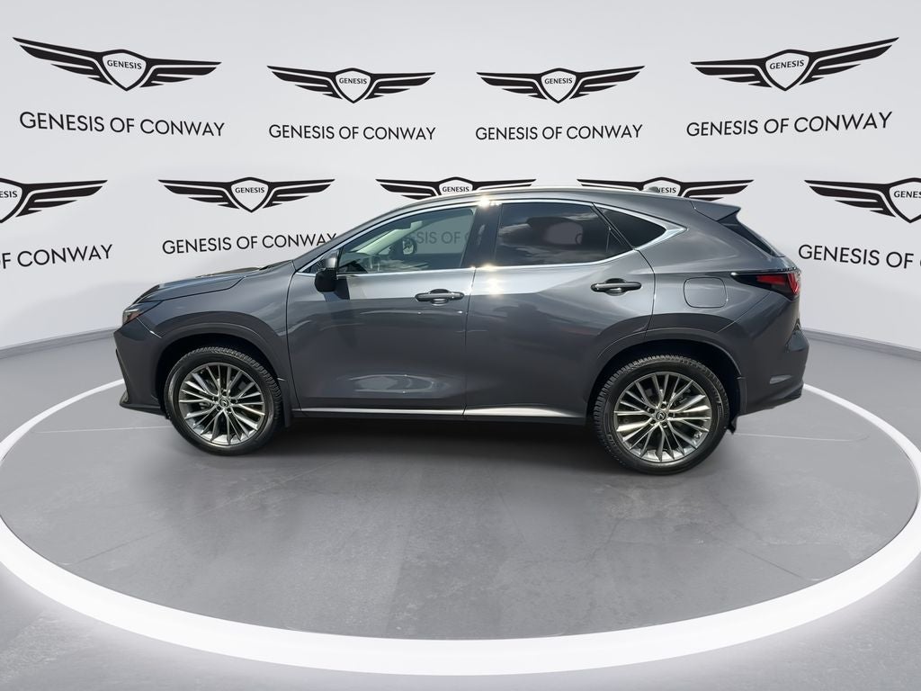 2023 Lexus NX 350 Luxury