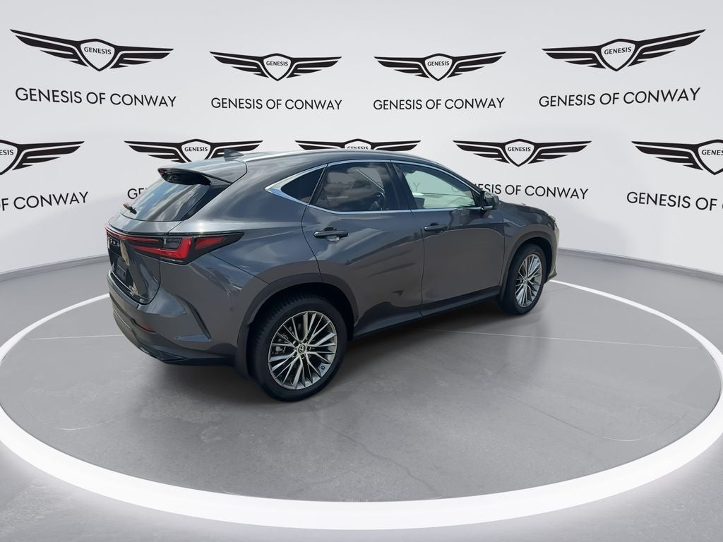 2023 Lexus NX 350 Luxury
