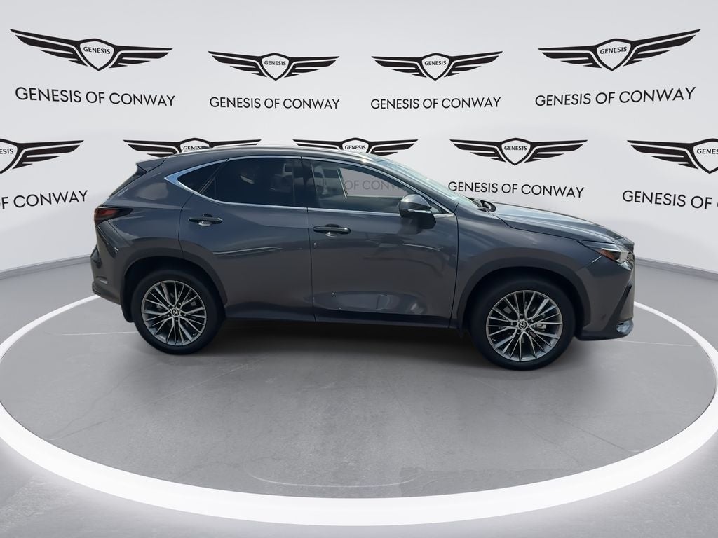 2023 Lexus NX 350 Luxury