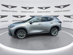 2022 Lexus NX 350h Luxury