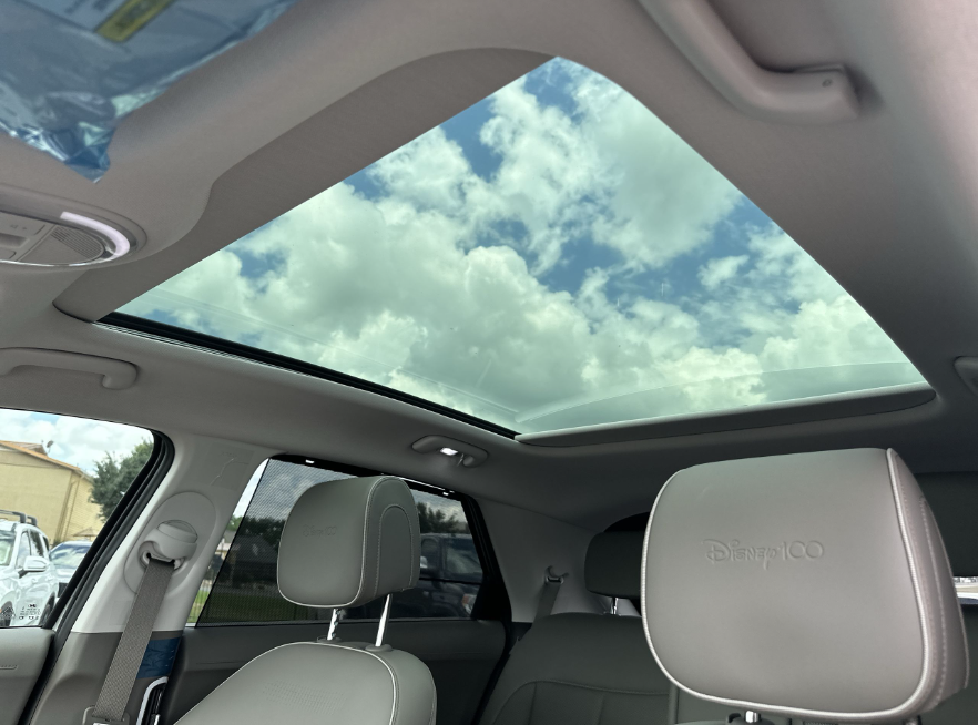 Disney100 Platinum Interior